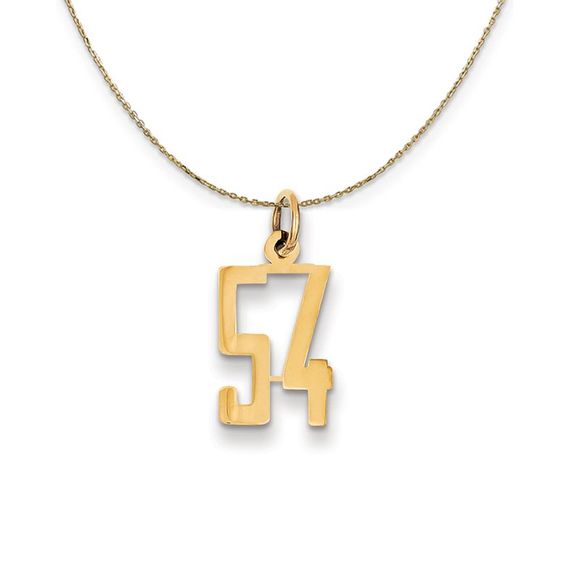 14k Yellow Gold Alumni Small Elongated Number 54 Necklace - 20 Inch